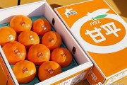 甘平柑橘種植技術_增強人體免疫力的蔬菜有哪些 甘平柑橘種植技術_增強人體免疫力的蔬菜有哪些
