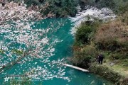 恩施柑橘種植技術_湖北省到底是屬于南方還是北方呢