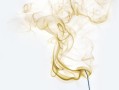 2023-2024柑橘病蟲害防治用藥指南最新版：科學(xué)用藥方案與綠色防控技術(shù)解析