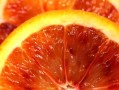 黃公主柑橘抗寒嗎（紅公主柑橘苗哪里有）