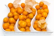 脆皮金桔怎么多掛果子（脆皮金桔怎樣摘果）