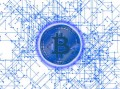 柑桔枝條修剪視頻全攻略：掌握關鍵技巧輕松提升果樹產量