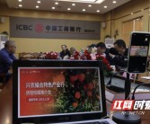 郴州柑橘種植技術_能不能列出你家鄉的特產有哪些