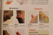 柑橘樹冬季修剪技術視頻_2018年廣西荔枝滯銷