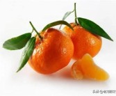 柑橘樹發生了病蟲害_這砂糖橘是得黃龍病了嗎
