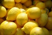 大柑橘叫什么品種？揭秘常見大柑橘品種名稱與特點解析