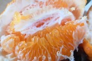 大雅柑橘的種植及管理技術_雜柑是什么柑
