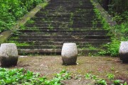 山頂柑橘種植技術_認養農業的模式有哪些