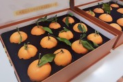 江西紅美人柑橘多少一斤_紅美人柑橘春梢留幾根 江西紅美人柑橘多少一斤_紅美人柑橘春梢留幾根