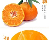 包含哪里買到正宗春見(jiàn)耙耙柑的詞條