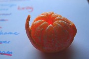 成柑橘什么時候成熟？成熟時間、判斷方法及種植管理技巧解析