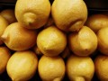 科技賦能農業：極早熟柑橘新品種“早豐1號”突破傳統種植周期