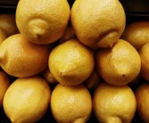 科技賦能農業：極早熟柑橘新品種“早豐1號”突破傳統種植周期