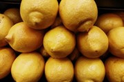 科技賦能農業：極早熟柑橘新品種“早豐1號”突破傳統種植周期