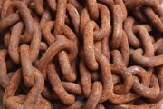 柑橘病蟲害套裝全解析：高效防治方案與專業管理工具推薦