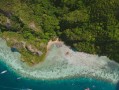 柑橘種植地區平原嗎還盆地（柑橘主要種植在哪里）
