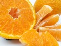 耙耙柑丑橘同一種物品嗎（耙耙柑和丑橘有什么區(qū)別視頻）