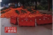 沃柑橘子種植技術視頻_沙糖桔內膛小枝可以剪掉嗎