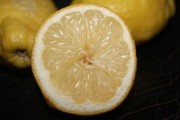 柑橘枝梢上斑點怎么回事？詳解常見病因與防治對策