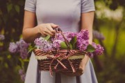 柑橘一般留多高樹枝?果樹修剪技巧與高度把控要點解析 柑橘一般留多高樹枝?果樹修剪技巧與高度把控要點解析