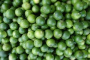 沃柑內(nèi)部皮變灰還能吃嗎（沃柑的皮里面發(fā)灰能吃嗎）
