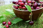 桂陽特產(chǎn)耙耙柑蜜桔:果農(nóng)匠心培育的甜蜜爆汁美味 桂陽特產(chǎn)耙耙柑蜜桔:果農(nóng)匠心培育的甜蜜爆汁美味
