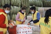 愛媛橙子原產地是哪里_買橙子買大的好