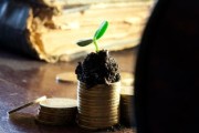 金桔樹土要加多少(金桔樹要什么肥料) 金桔樹土要加多少(金桔樹要什么肥料)