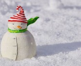 雪蜜柑好吃嗎（雪蜜柑好吃嗎有毒嗎）