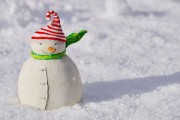 雪蜜柑好吃嗎（雪蜜柑好吃嗎有毒嗎）