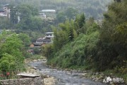 江山柑橘種植技術論文_三國中有哪些美食