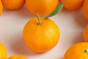 愛媛哪個(gè)品種好_愛媛58與愛媛38區(qū)別 愛媛哪個(gè)品種好_愛媛58與愛媛38區(qū)別
