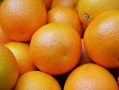 生物農藥殺柑橘紅蜘蛛（柑桔紅蜘蛛危害果實）