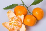 柑橘農(nóng)藥肥料混合使用比例（柑橘農(nóng)藥混配順序）