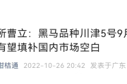 沃柑開花可以打藥嗎（沃柑開花期間可以施肥嗎）