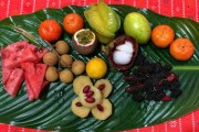 西雙版納柑橘種植技術(shù)_一個香水檸檬多重