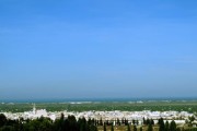 2023年明日見柑橘行情最新市場動態與未來趨勢預測