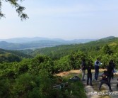 不知火柑橘種植技術講稿_白糖罐丑八怪要剪枝嗎
