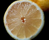 臍橙有什么美稱(chēng)和雅稱(chēng)（臍橙的名稱(chēng)）