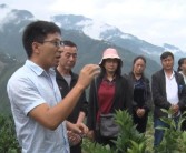 官方柑橘種植技術培訓資料_橘子在北緯32度可以種嗎