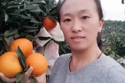 愛媛30號(hào)柑桔市場(chǎng)價(jià)_愛媛58號(hào)柑橘品種介紹