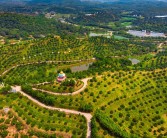 南雄柑橘種植技術要點_廣州深圳去韶關旅游最好選擇怎樣的出行方式