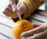 愛媛果凍橙多少錢一斤_愛媛果凍橙種植耐幾度低溫