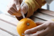 愛媛和橙子的區別_愛媛38號果凍橙產地