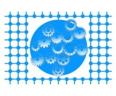 柑橘一畝大概產量多少？解析品種差異與管理技術對畝產的影響