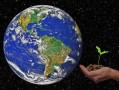 柑橘產生哪個溫帶？解析其氣候適應性及全球分布規律