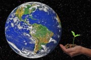 柑橘產生哪個溫帶？解析其氣候適應性及全球分布規律