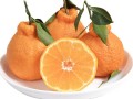 沃柑摘走一斤帶走多少肥料呢（沃柑1斤幾個(gè)）