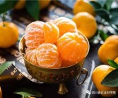農科院柑橘種植技術培訓_現在有什么性狀優良的臍橙新品種推廣