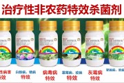 柑橘樹(shù)春季病蟲(chóng)害防治_柑橘掛果樹(shù)應(yīng)該怎么樣管理才好